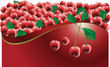 Vetor: Fruit fresh cherries Fruit fresh cherries