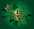 Vector: Fruit fresh grapes Fruit fresh grapes