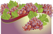 Vetor: Fruit fresh grapes Fruit fresh grapes