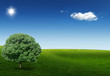 Nature 3