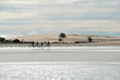 jericoacoara
