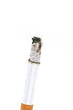 cigarette