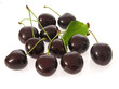 Photo: Schwarze Kirschen/black cherries Schwarze Kirschen/black cherries