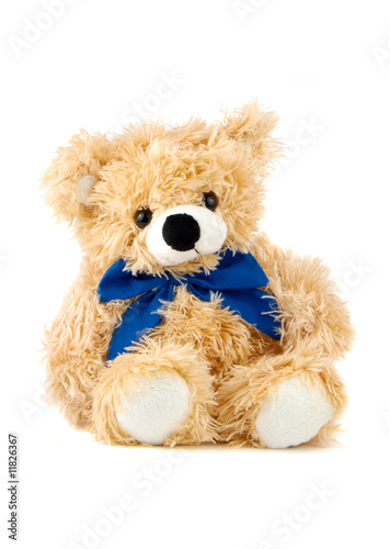 Photo: Bear Bear