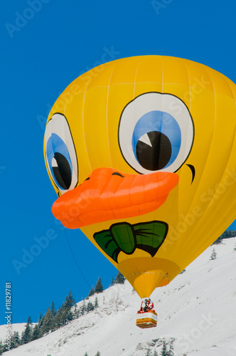 Foto: flying duck flying duck