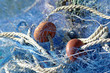 Filets de pêche