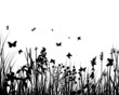Grass Backgrounds