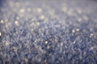 Blue Frost