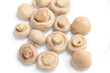 button mushroom