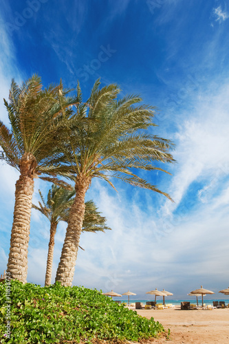 Photo: Beautiful beach view Beautiful beach view