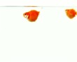 Heureux comme un poisson A2