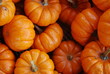 pumkins