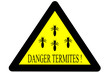 termites
