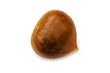 One chestnut isolated on the white background