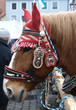 Zugpferd