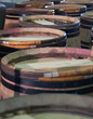 Barriques
