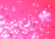 桜吹雪