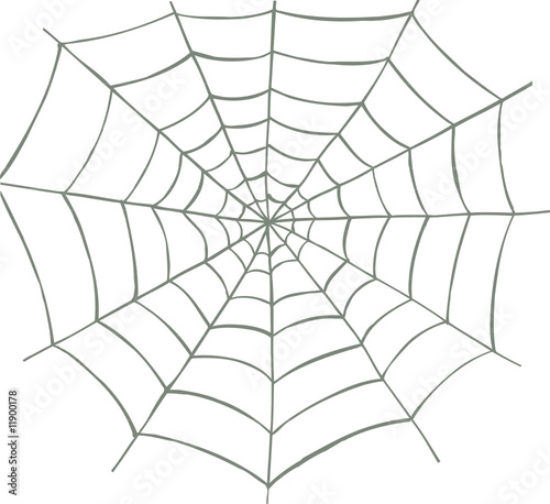 Spider+net+vector