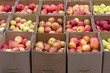 Photo en ligne au meilleur prix Apples in the boxes