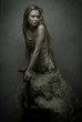 fairy-tale girl fairy-tale girl