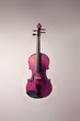 violin violin