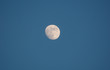 Mond