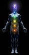 Human Chakra