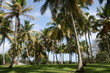 basse terre
