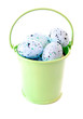 Bucket of Eggs