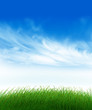 Green field