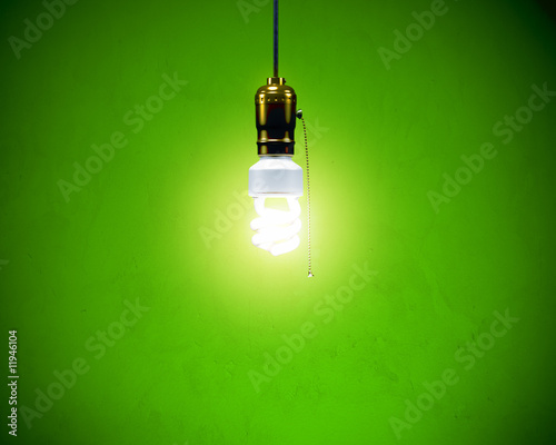 Photo: Compact Fluoresent Bulb - Hanging Compact Fluoresent Bulb - Hanging