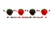 Framboises et mures