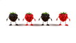 Framboises et mures