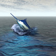 BLUE MARLIN