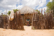 basarwa man