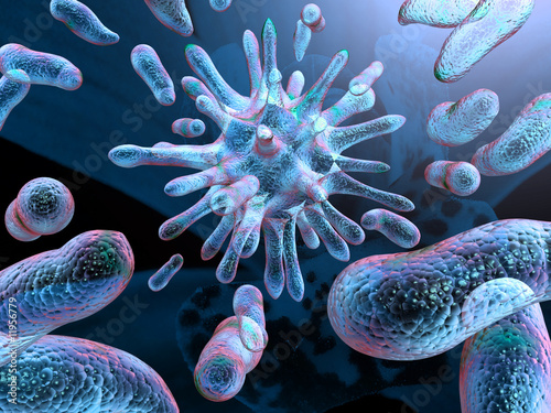 Illustration : Bacteria Bacteria