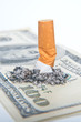 cigarette butt layng on money