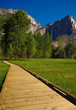 Wooden path