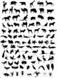 Vector silhouettes of animals (mammals, birds, fish, insects)