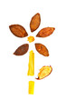 decorative flower