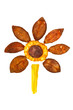 decorative flower daisy
