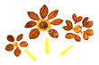 three ornamental flowers