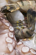 Photo: tiger prawns and octopus (detail) tiger prawns and octopus (detail)