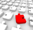 Puzzle - One Red Piece