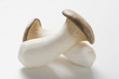 two king oyster mushrooms