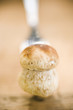fresh cep on fork