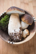 fresh ceps with moss in wooden bowl