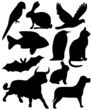 Vektor: Tier Silhouetten Tier Silhouetten