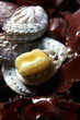abalone (sea snail) with seaweed