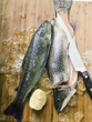fresh charr, lemon, ice cubes and knife